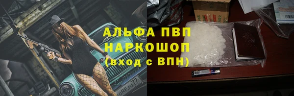 сатива Балахна