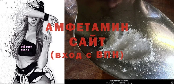 сатива Балахна