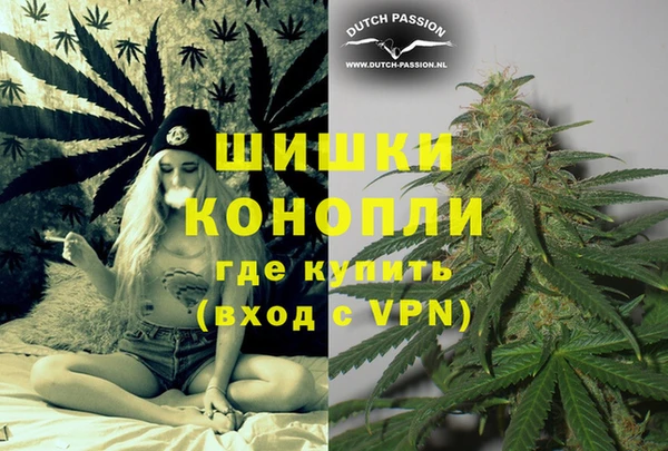 сатива Балахна