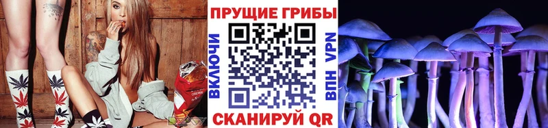 Псилоцибиновые грибы GOLDEN TEACHER  где купить наркоту  Электроугли 